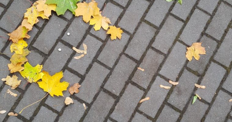 Herbstferien in Berlin und nun? | Freitagslieblinge